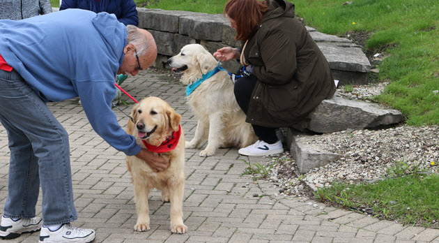 Other volunteer roles