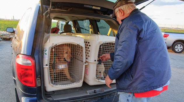 Transport volunteer