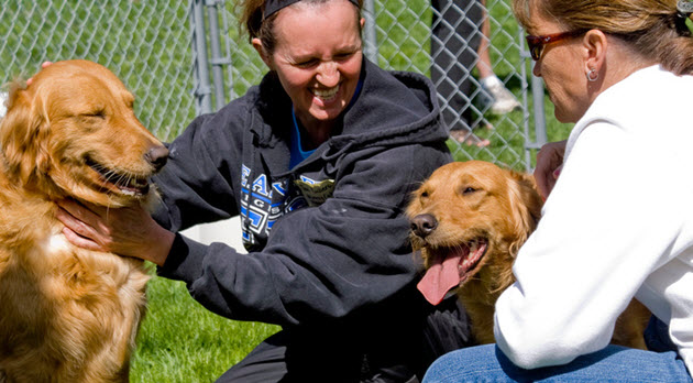 Volunteer openings