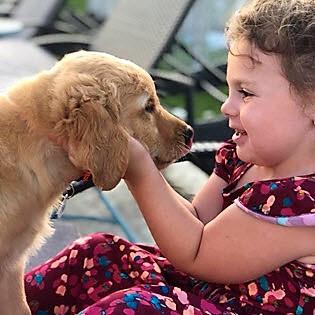 Children and dogs