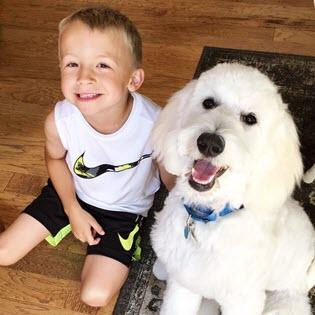 Children and dogs