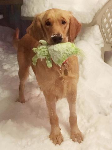 Is it still snowing?