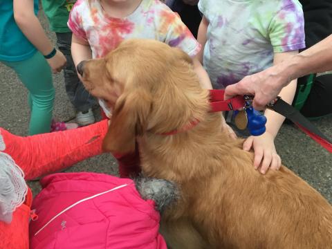 Gently accepting pets from little hands.
