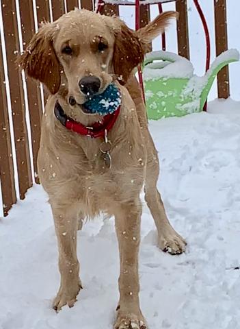 Snow + Ball = Happy Crystal