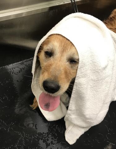 First bath!  