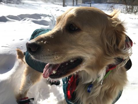 I'm always up for an adventure, even in this frigid Minnesota cold.