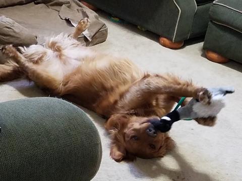 Enjoying a stuffie