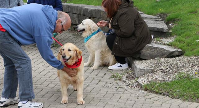 Other volunteer roles
