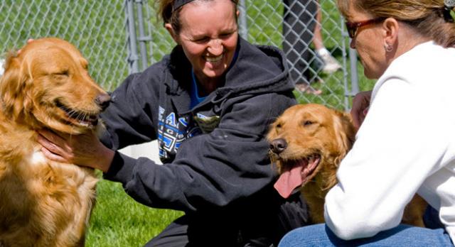 Volunteer Openings