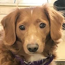 Molly 19-050